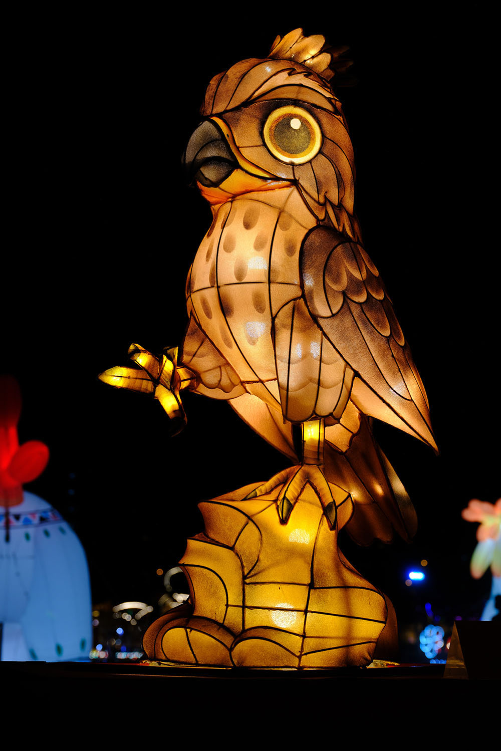 Eagle Soaring a Thousand Miles