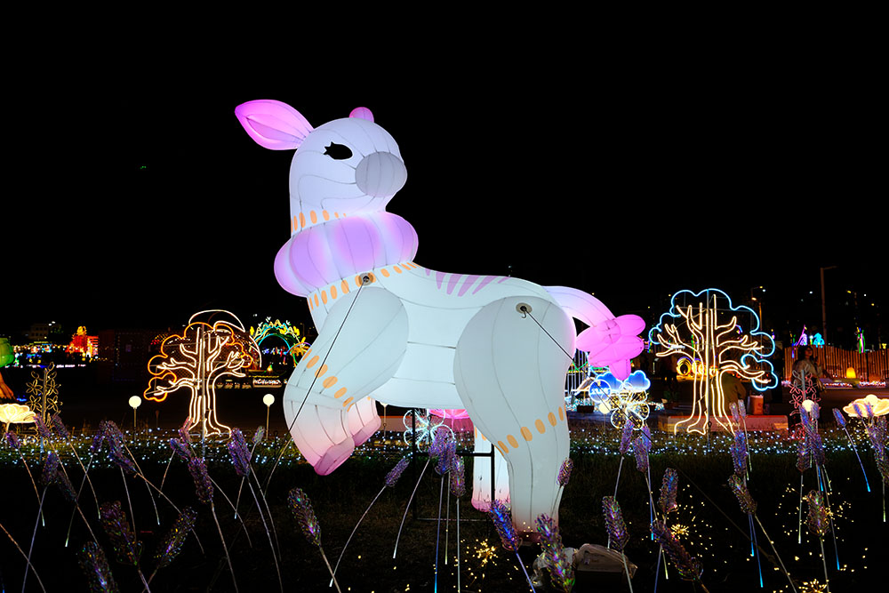 Messenger of Awareness · Shell Ginger