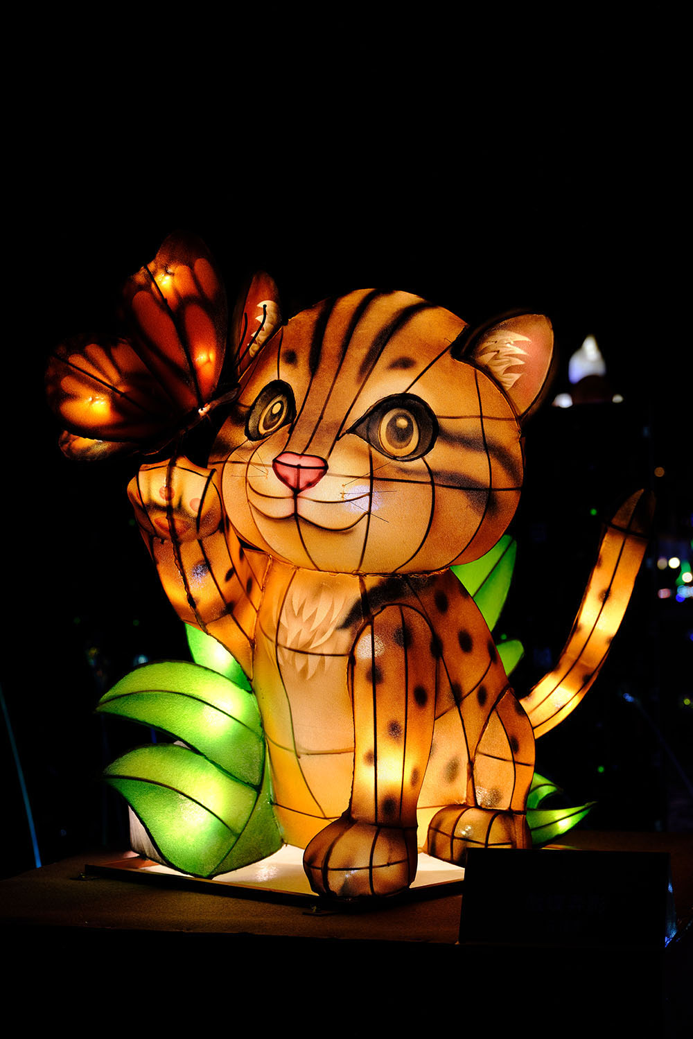 Leopard Cat and Butterfly