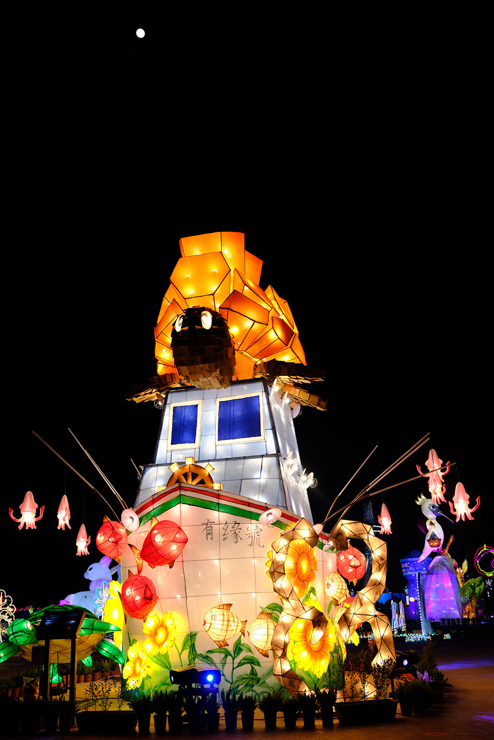 「潮境之菊」金武緣龜(真有緣)