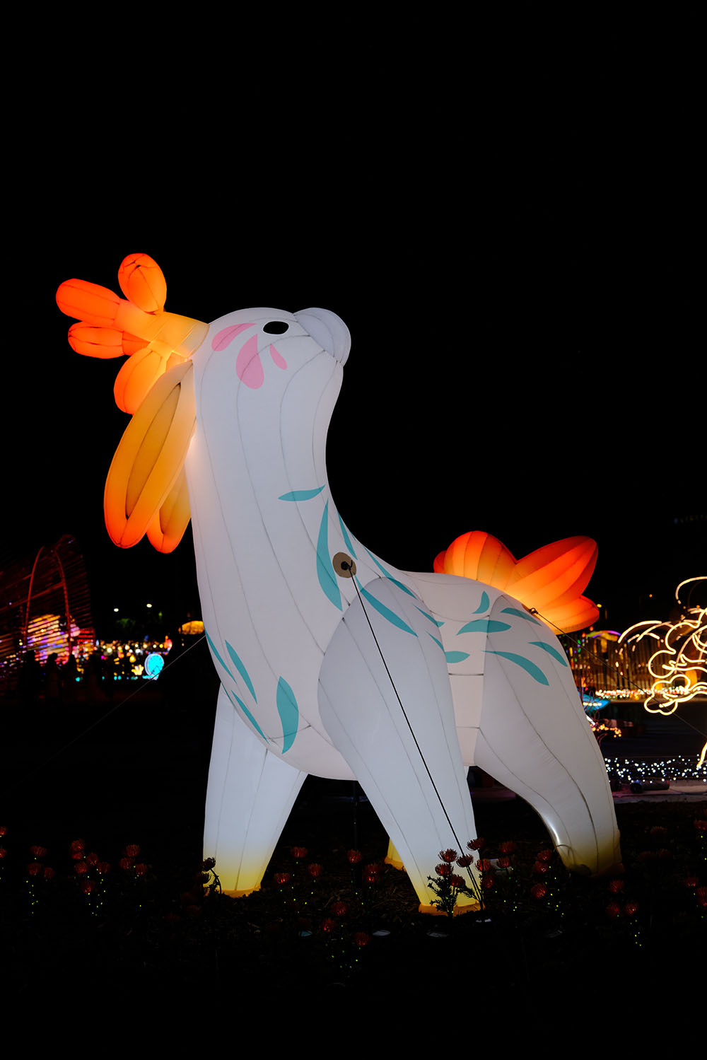 行徑之引 · 金草蘭（fiteu）