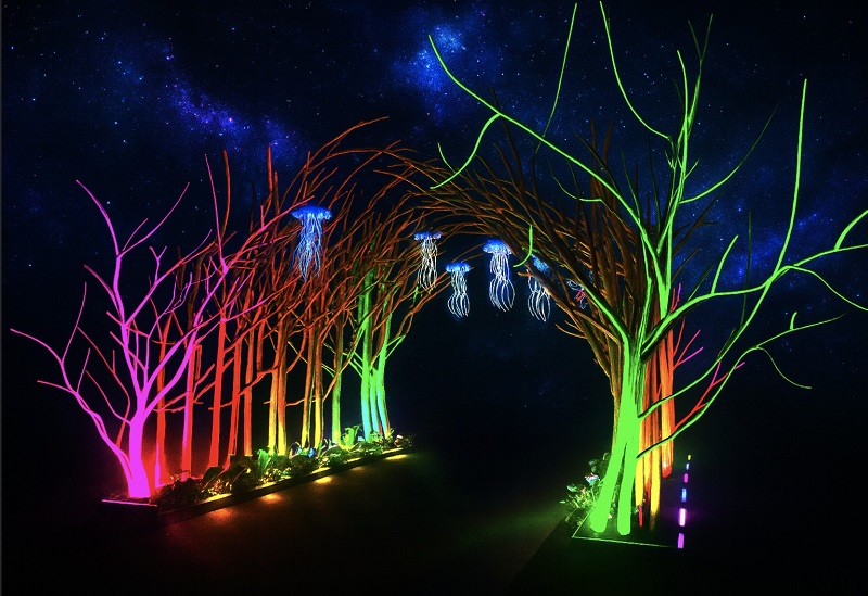 光域の門：不思議な星の探検