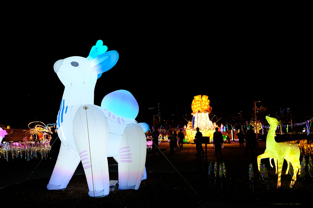 定守の盾 · 青剛櫟（ていしゅのたて・せいごうれき）