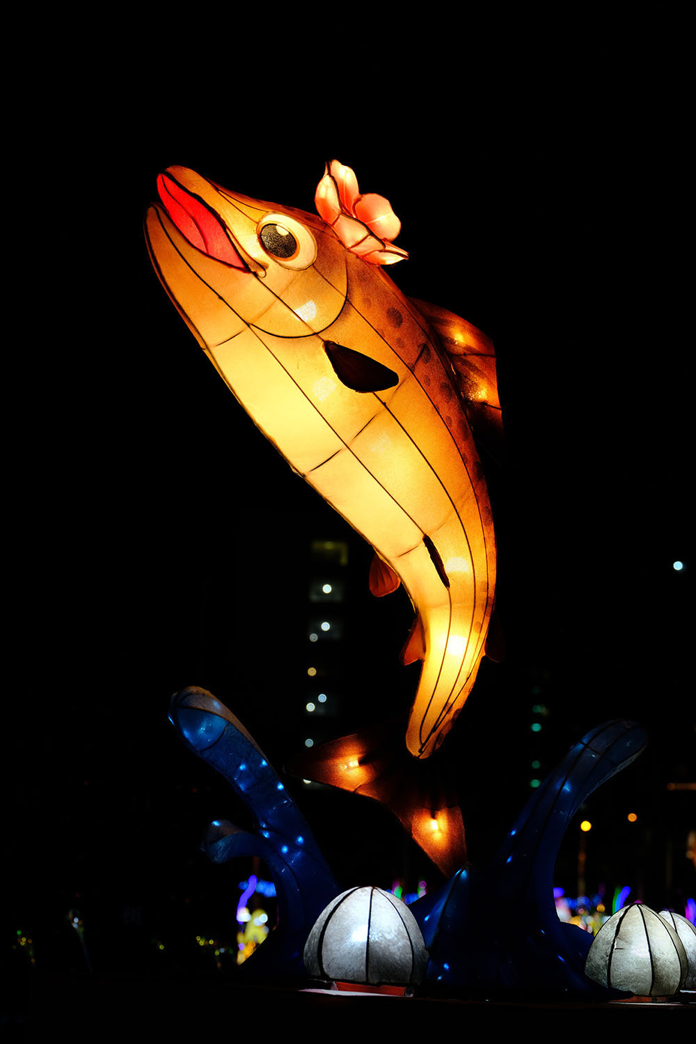 花のように躍る鮭