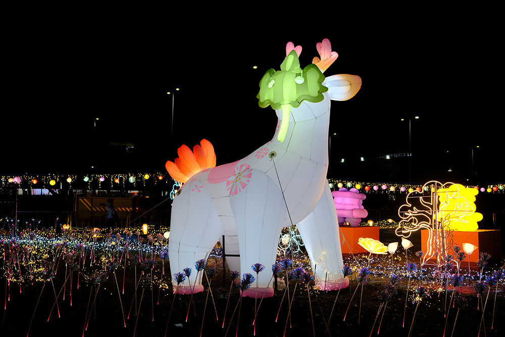 오래된 뿌리의 부름 · 닥나무