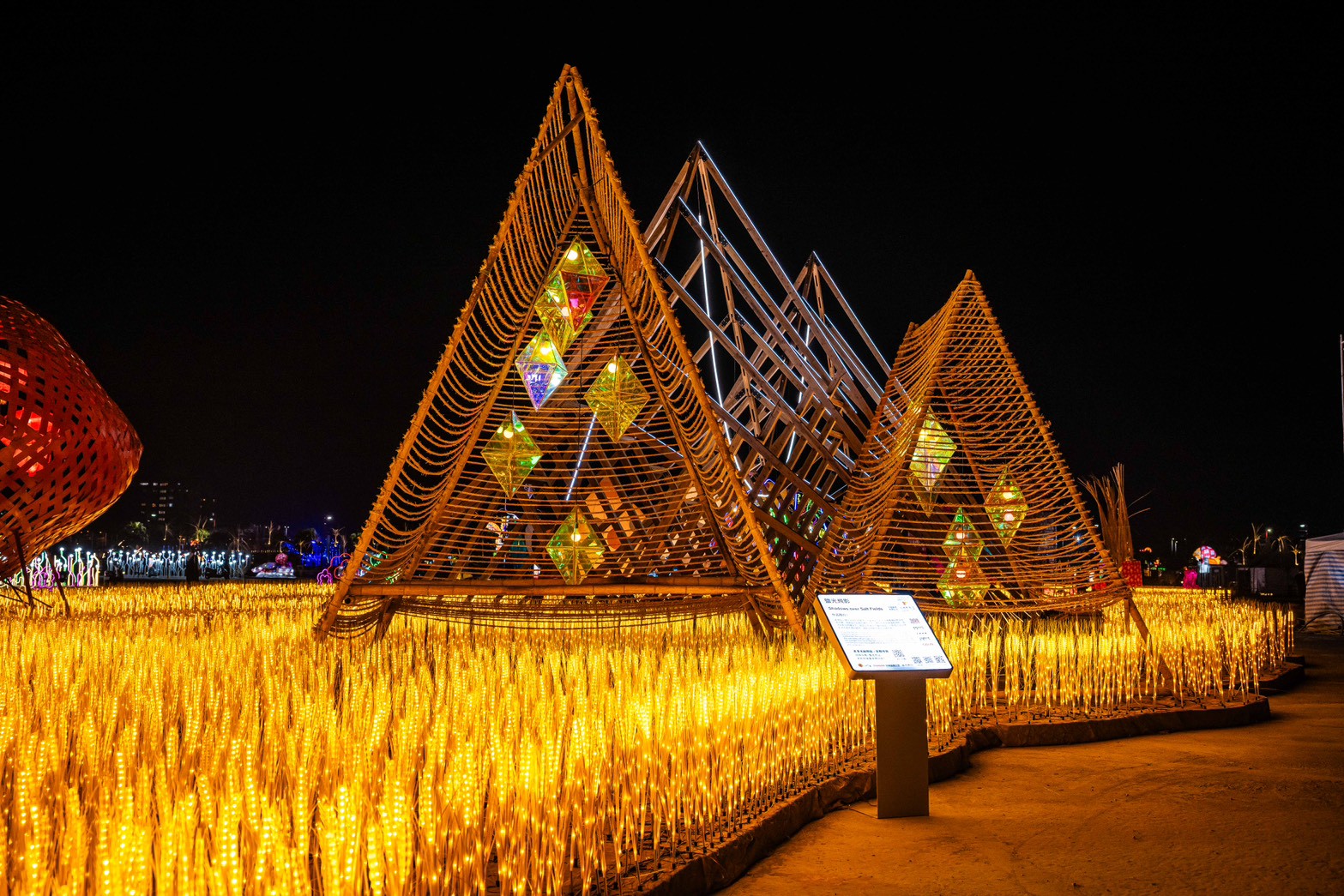 소금 빛 위로 날아오르는 그림자